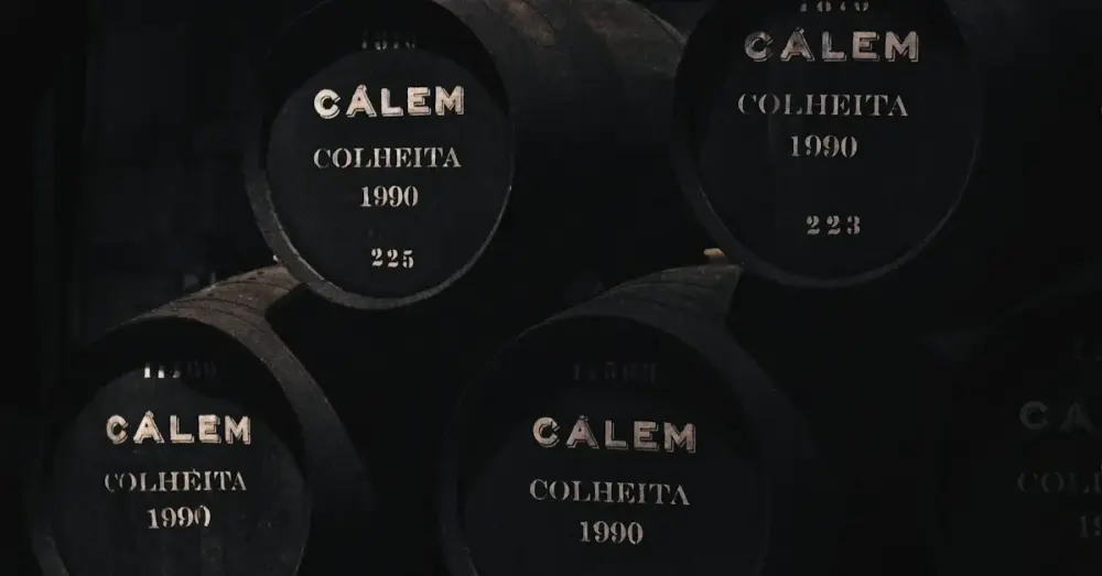 Wine Tourism in the Douro: The Complete Beginner's Guide