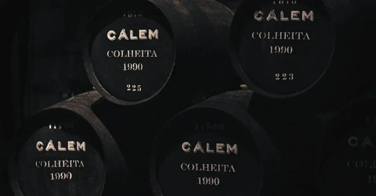 Wine Tourism in the Douro: The Complete Beginner's Guide