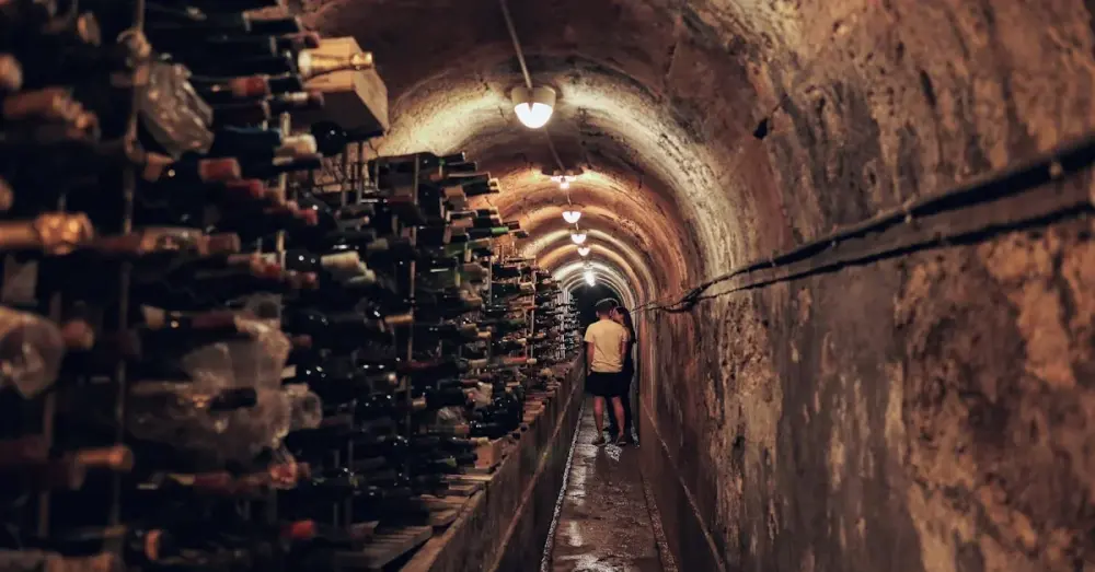 The Best Port Wines to Buy in the Douro in 2026