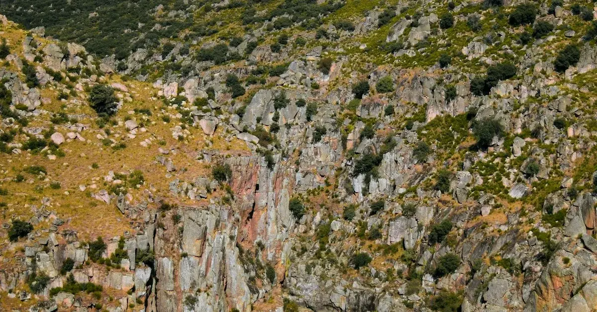 Strada Nazionale 222: Il Percorso Panoramico più Bello del Portogallo