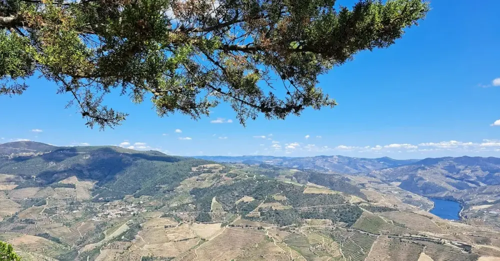 The Douro Through Every Season: A Landscape That Never Repeats
