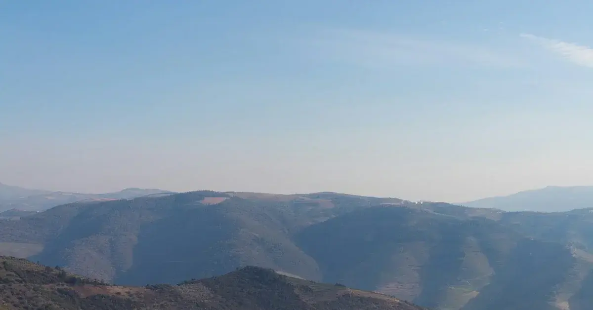 Picnic in the Douro Vineyards: The Region's Most Romantic Experience