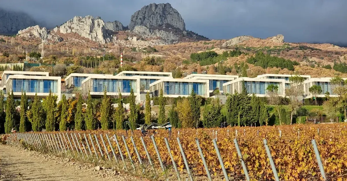 Hotel Régua Douro: La Puerta de Entrada al Valle del Douro