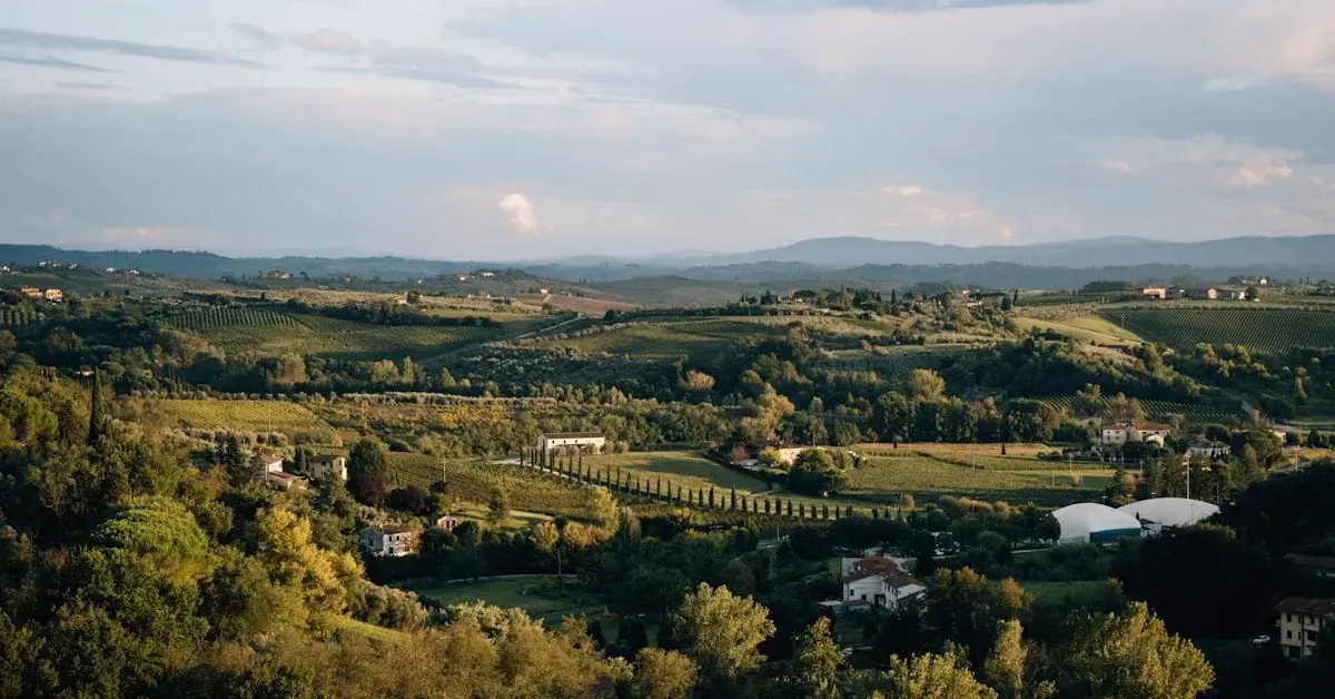 Spa Hotels in the Douro: Wellness and Wine in Perfect Harmony