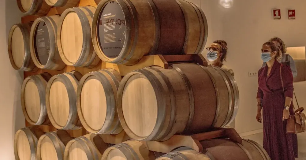 Douro Museum in Régua: Portugal's Finest Wine Museum