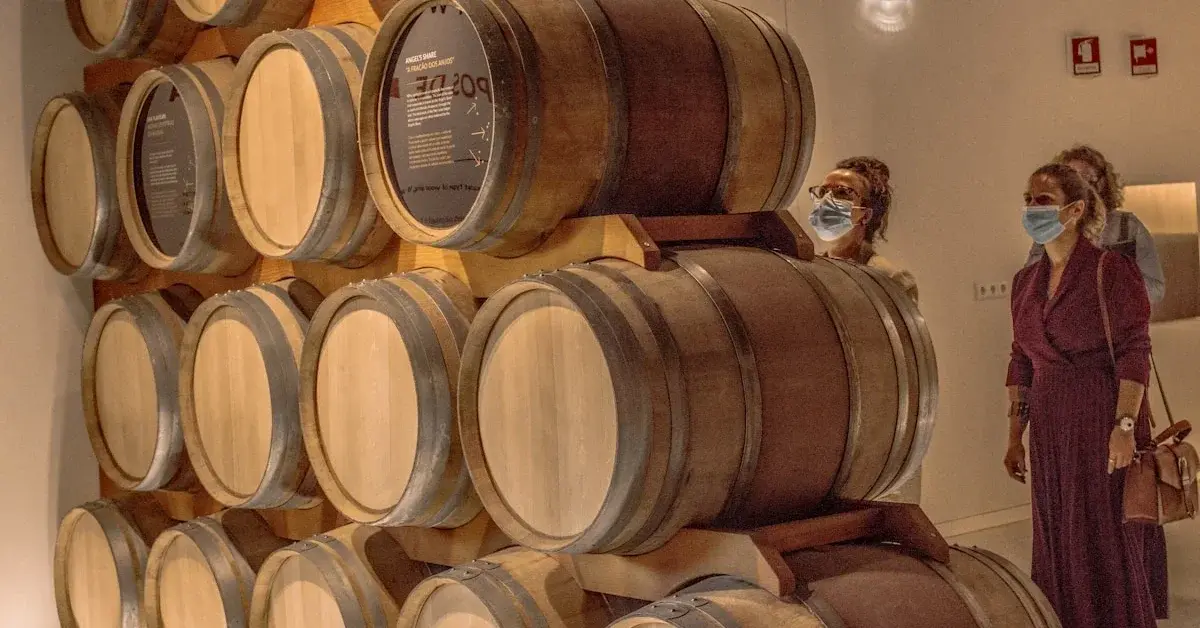 Douro Museum in Régua: Portugal's Finest Wine Museum