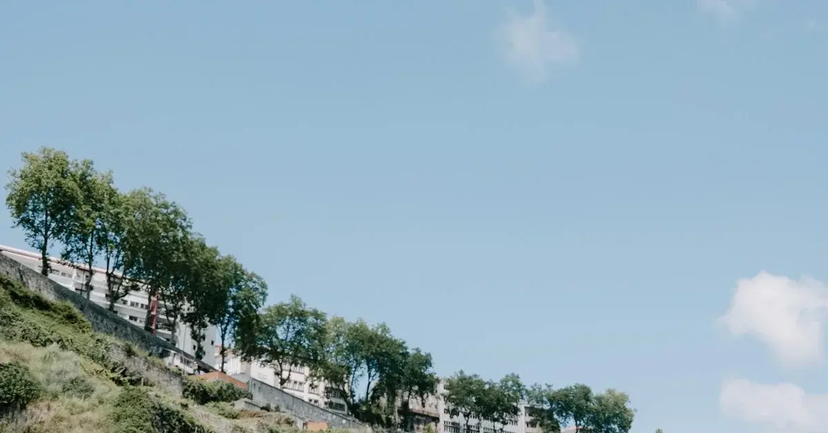 How to Get to the Douro Valley: Complete Transport Guide