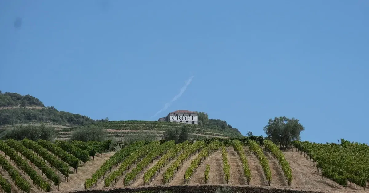 Best Time to Visit the Douro: Month by Month Guide