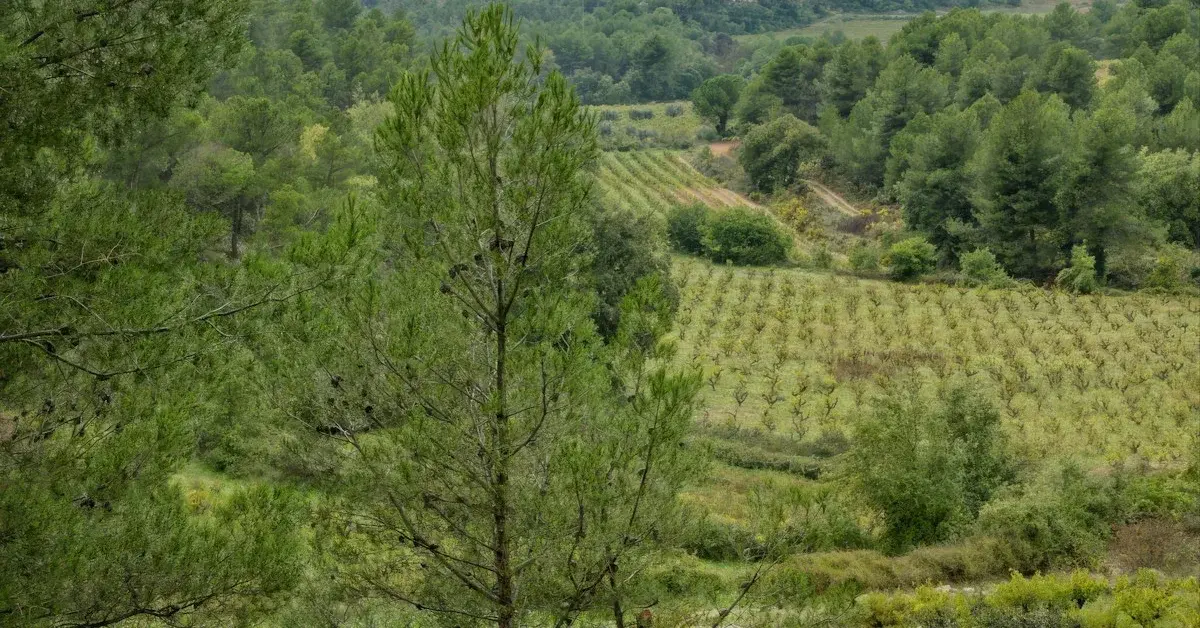 Douro with Children: Tips for a Memorable Family Trip