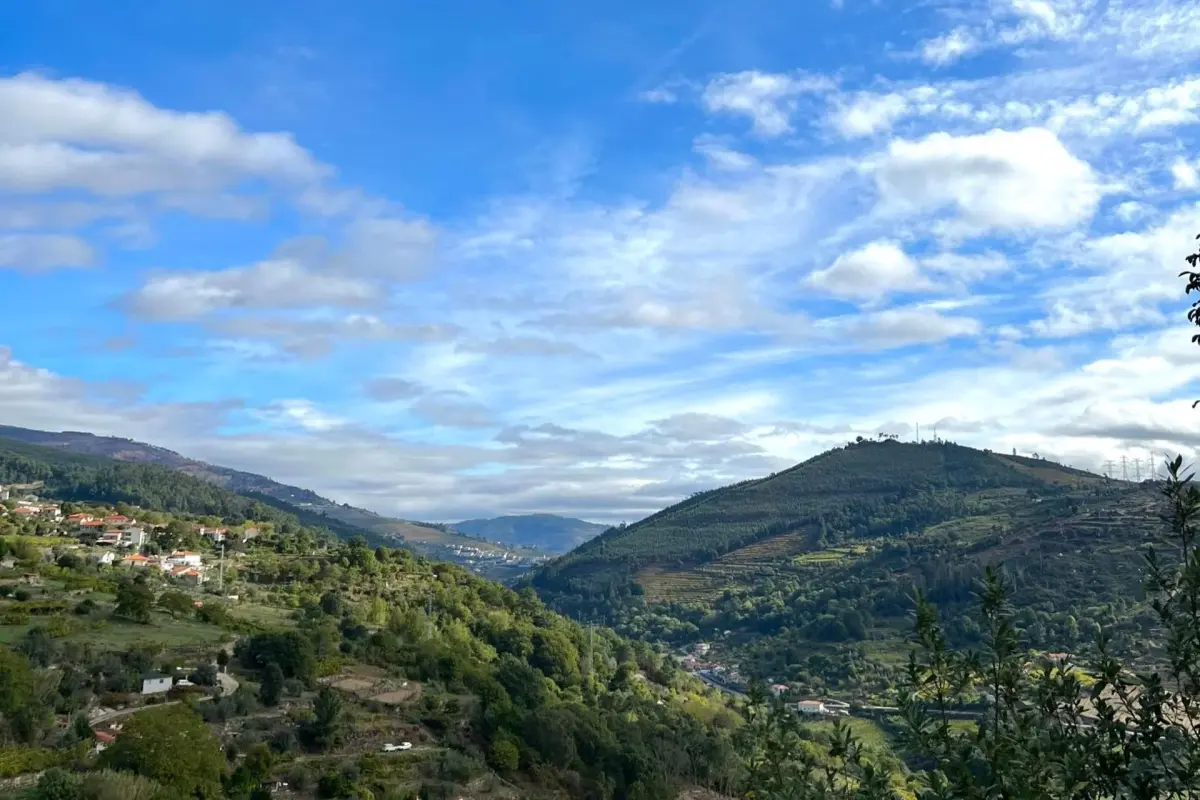 Private Douro- Quinta das Susandas - Imagem 24