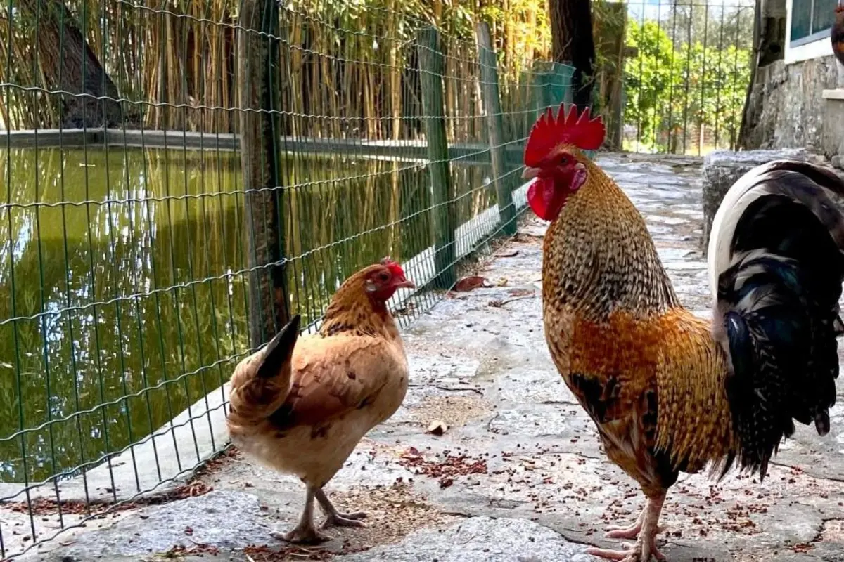 Private Douro- Quinta das Susandas - Imagem 31