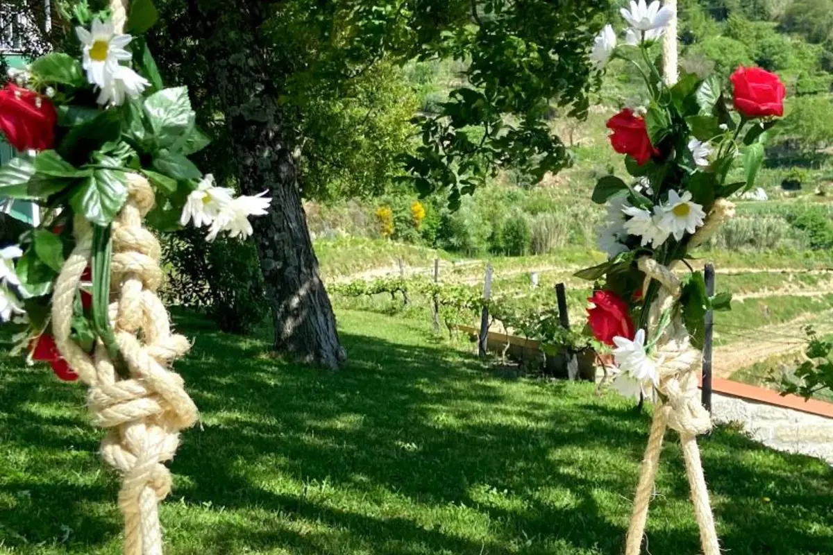 Private Douro- Quinta das Susandas - Imagem 41