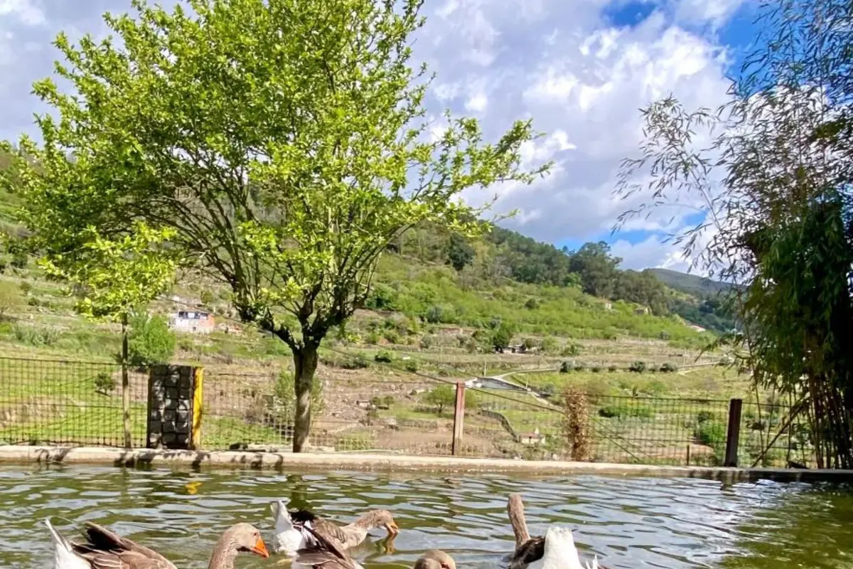 Private Douro- Quinta das Susandas - Imagem 42