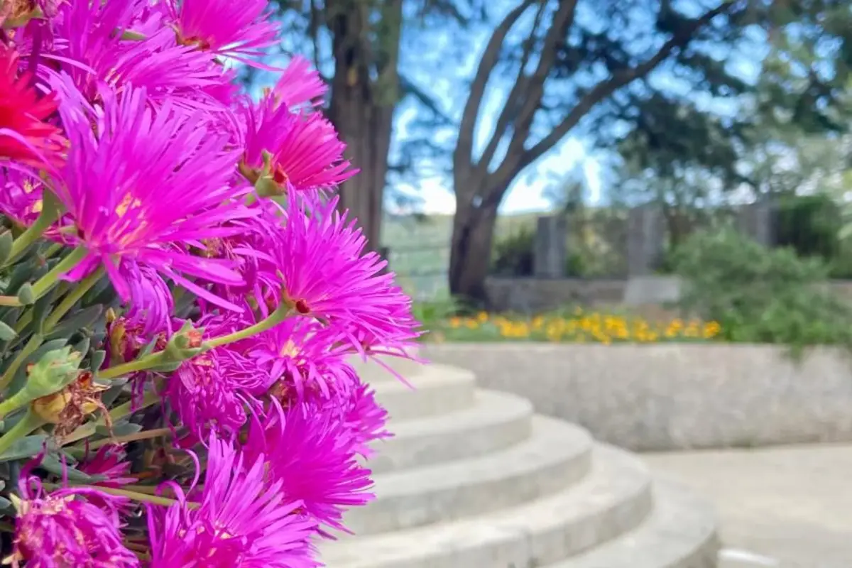 Private Douro- Quinta das Susandas - Imagem 50