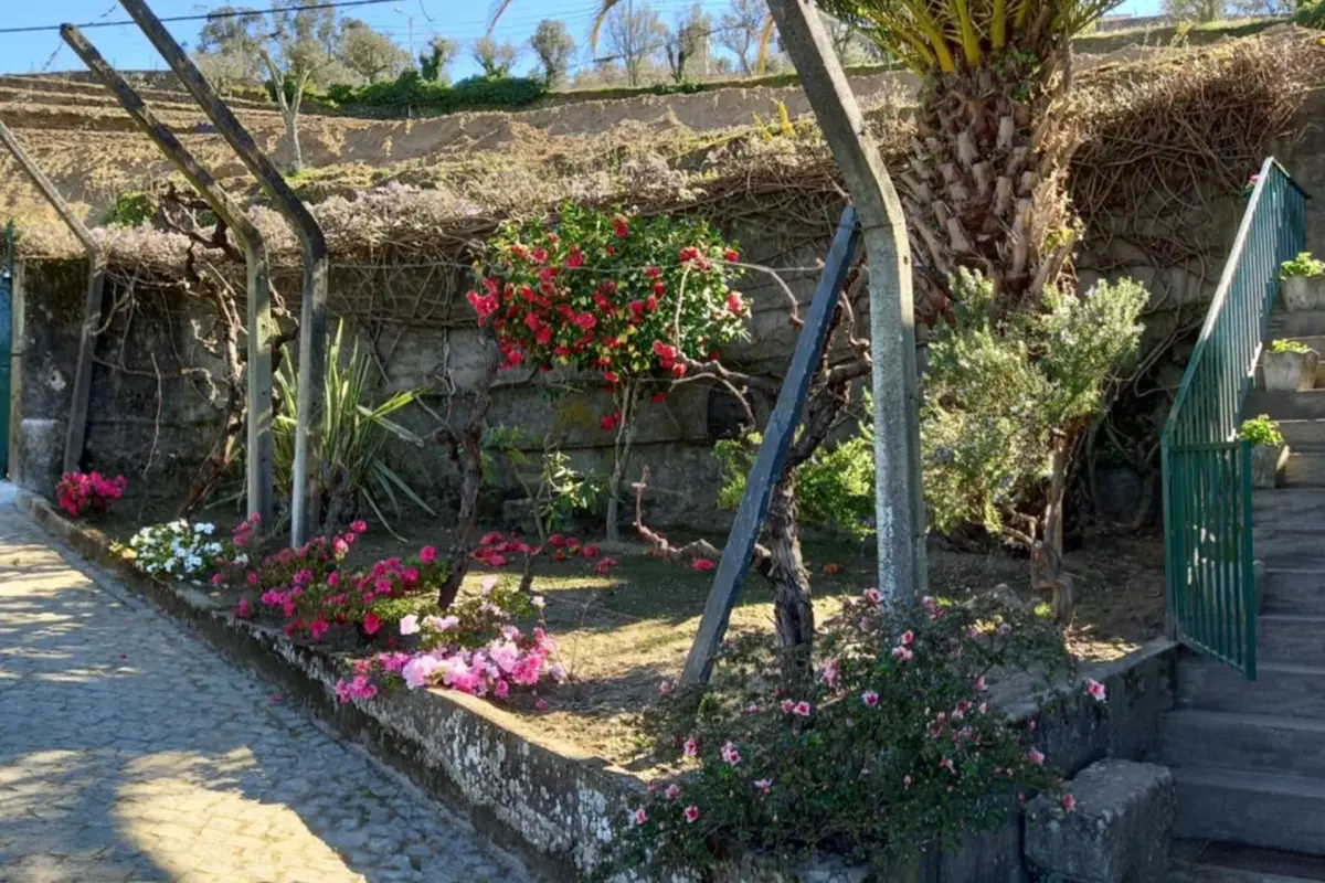 Discover the Quinta Casa Do Quintal: An Unforgettable Experience - Imagem 18
