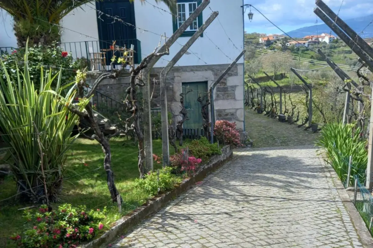 Discover the Quinta Casa Do Quintal: An Unforgettable Experience - Imagem 23