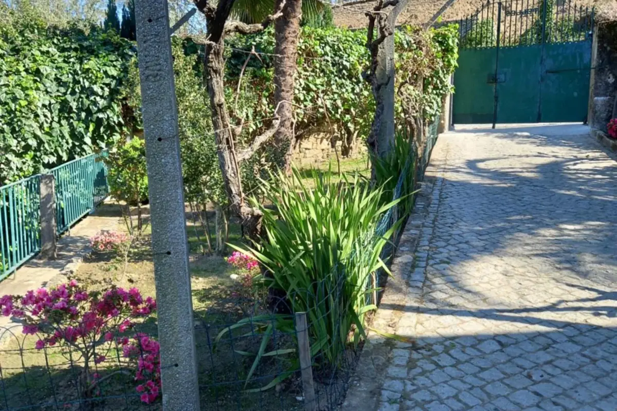 Discover the Quinta Casa Do Quintal: An Unforgettable Experience - Imagem 24