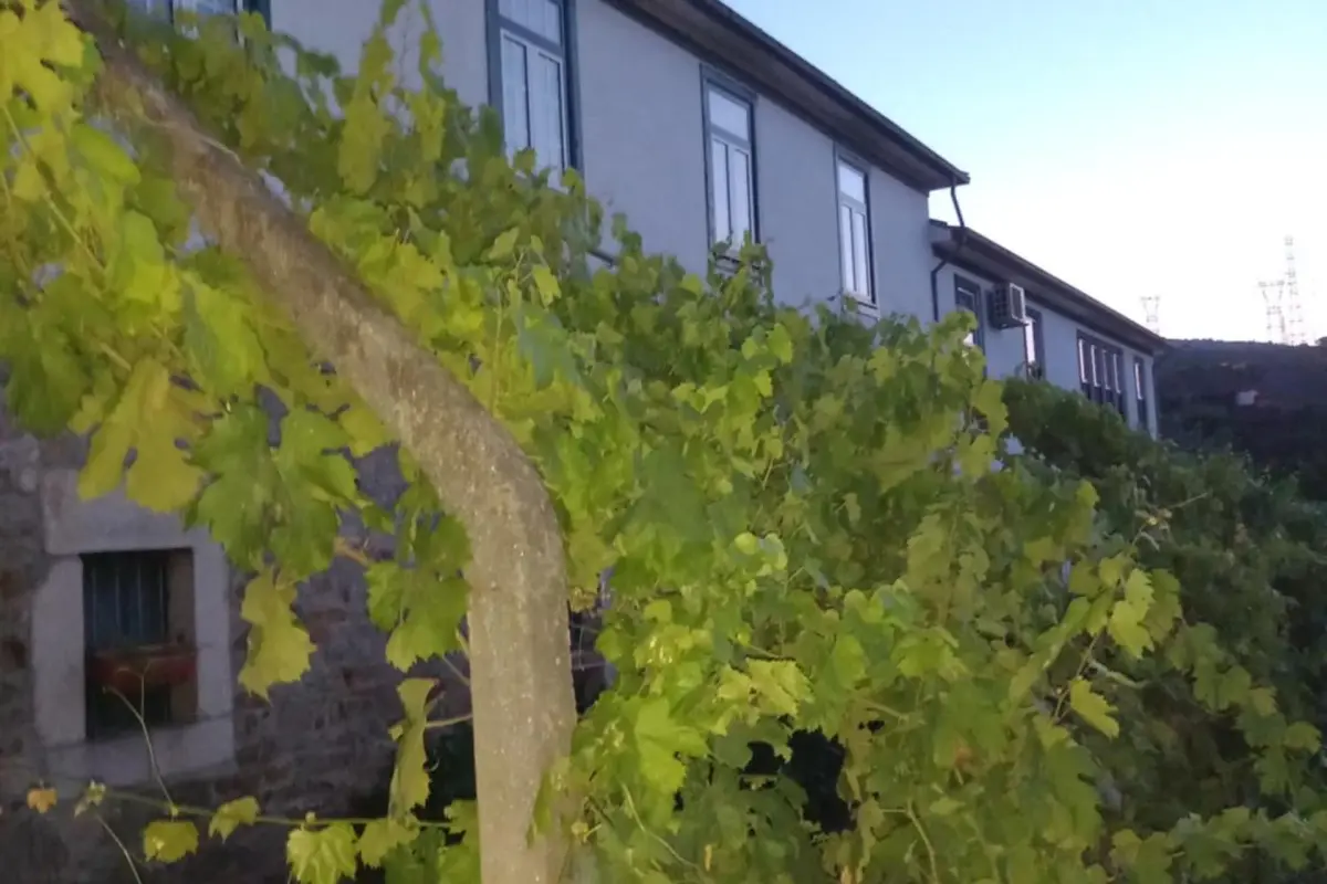 Discover the Quinta Casa Do Quintal: An Unforgettable Experience - Imagem 51