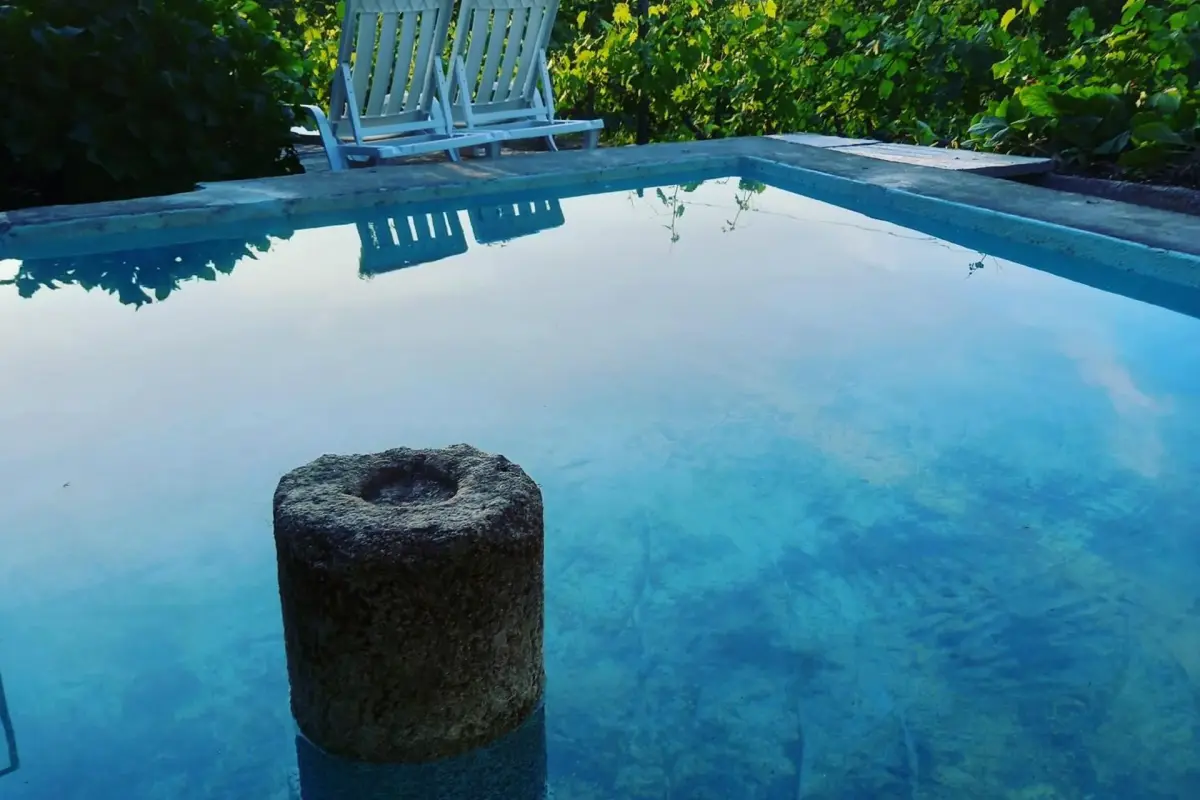 Discover the Quinta Casa Do Quintal: An Unforgettable Experience - Imagem 54