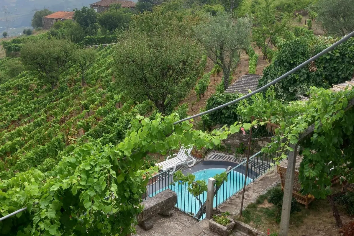 Discover the Quinta Casa Do Quintal: An Unforgettable Experience - Imagem 59