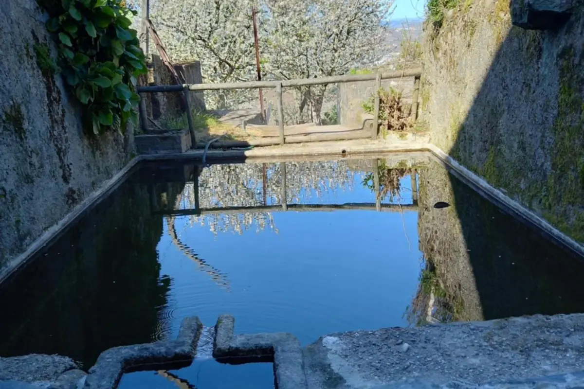 Discover the Quinta Casa Do Quintal: An Unforgettable Experience - Imagem 66