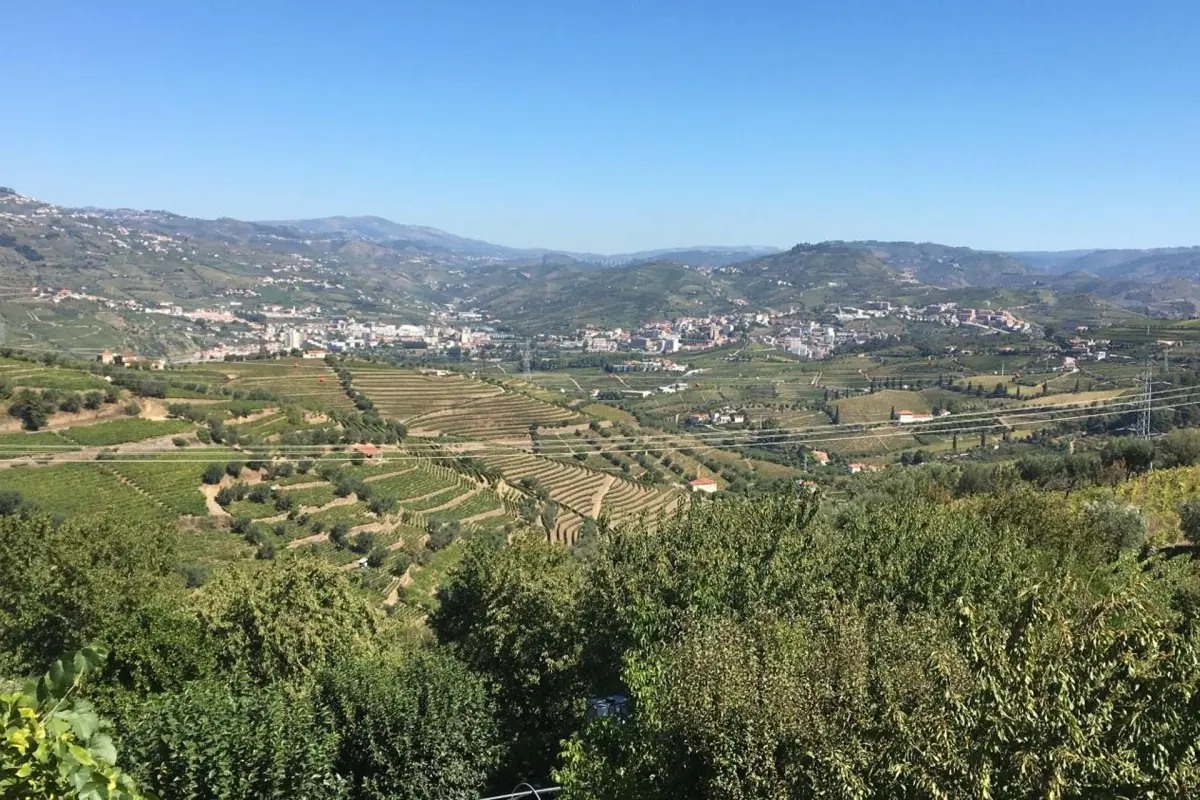 Discover the Quinta Casa Do Quintal: An Unforgettable Experience - Imagem 70