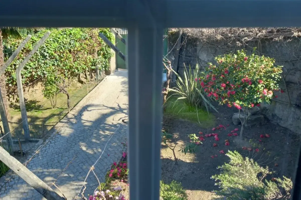 Discover the Quinta Casa Do Quintal: An Unforgettable Experience - Imagem 81