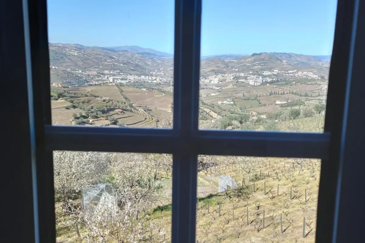 Discover the Quinta Casa Do Quintal: An Unforgettable Experience - Imagem 85