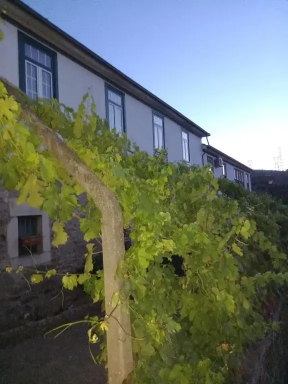 Quinta Casa Do Quintal: Eleganza Rurale a Lamego