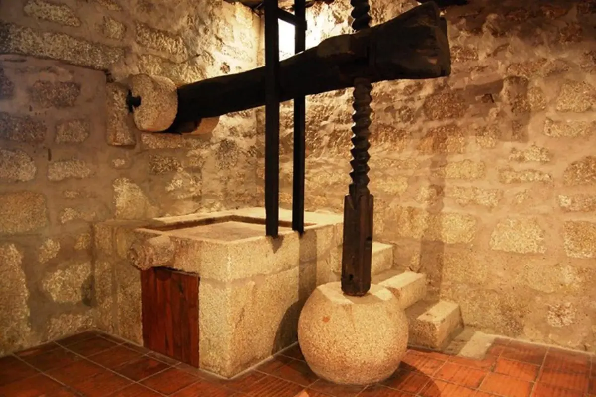 Discover Quinta da Cumieira: The Ideal Retreat for Everyone - Imagem 38