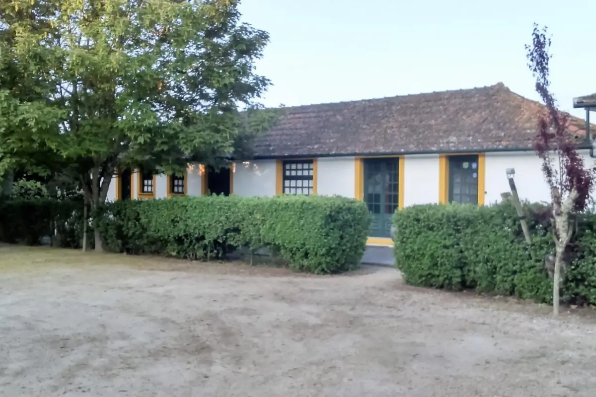 Discover Quinta da Cumieira: The Ideal Retreat for Everyone - Imagem 43