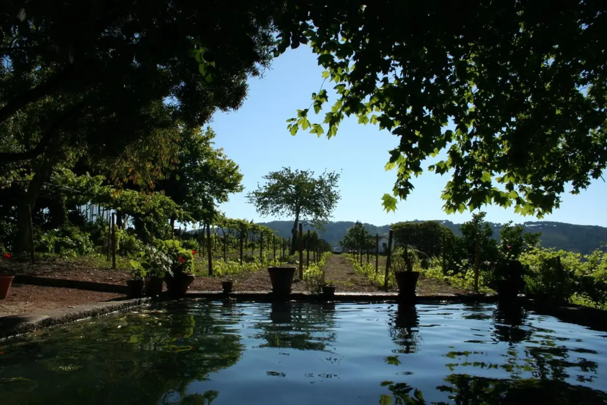 Discover Quinta da Cumieira: The Ideal Retreat for Everyone - Imagem 71