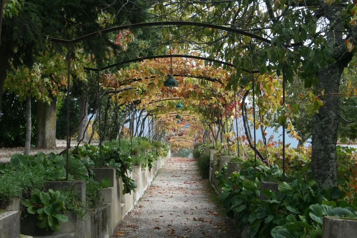 Discover Quinta da Cumieira: The Ideal Retreat for Everyone - Imagem 72