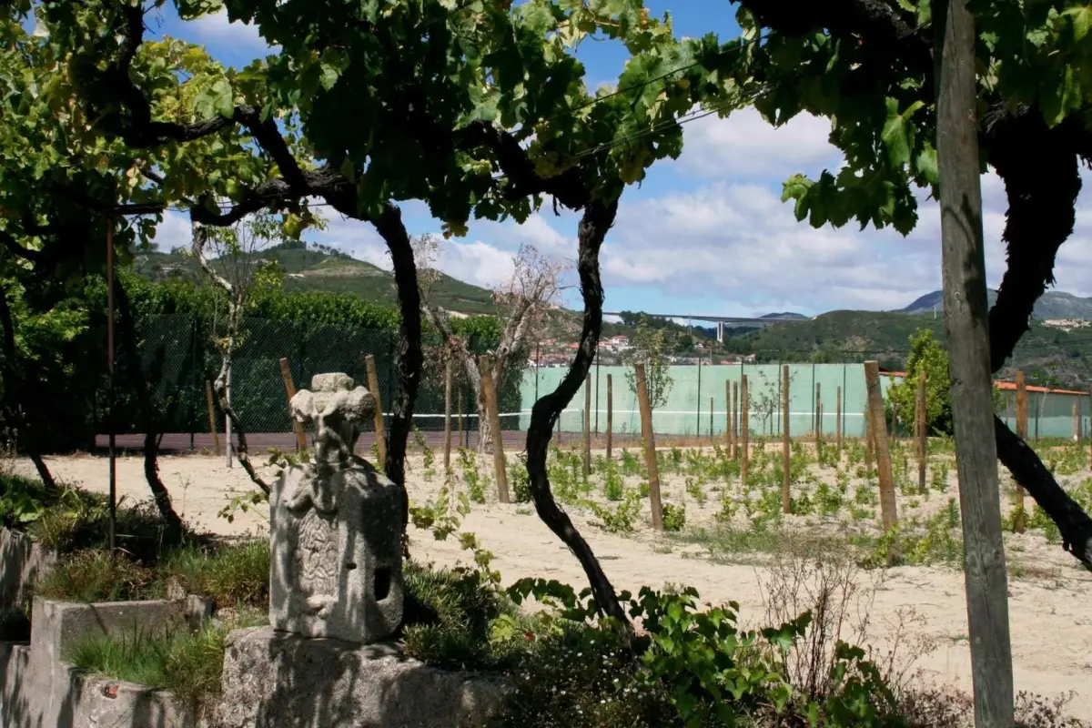 Discover Quinta da Cumieira: The Ideal Retreat for Everyone - Imagem 78