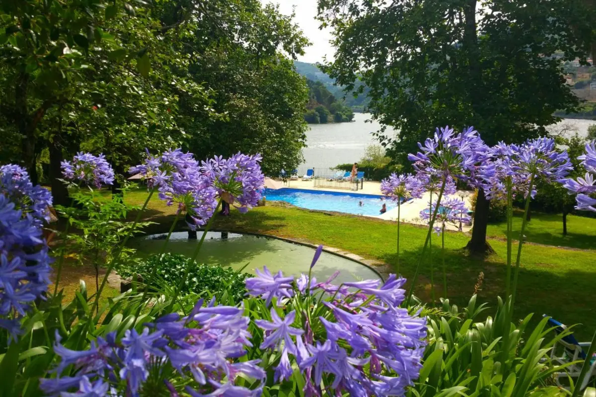 Quinta da Ermida - Turismo de Habitacao - Imagem 2