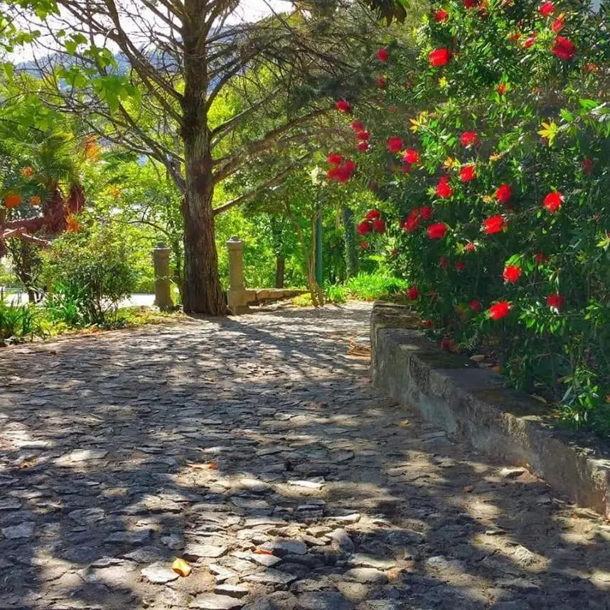Quinta da Ermida - Turismo de Habitacao - Imagem 20