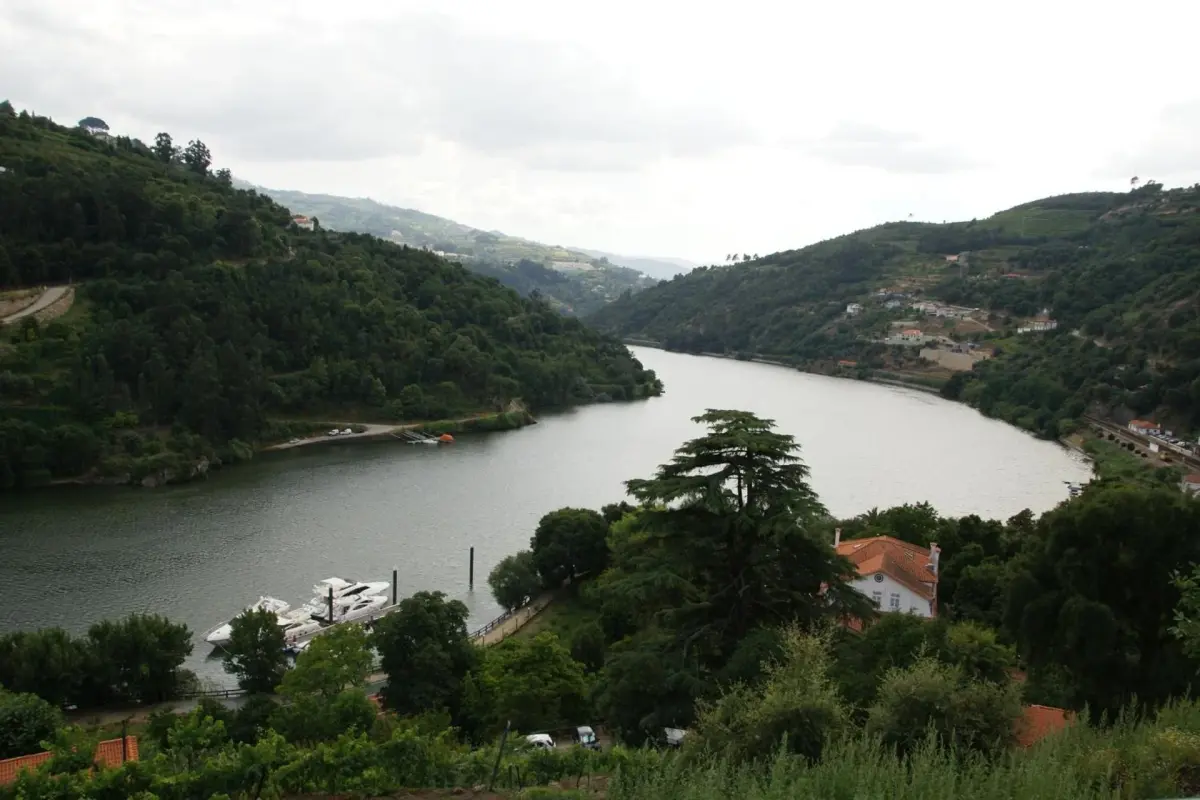 Quinta da Ermida - Turismo de Habitacao - Imagem 49