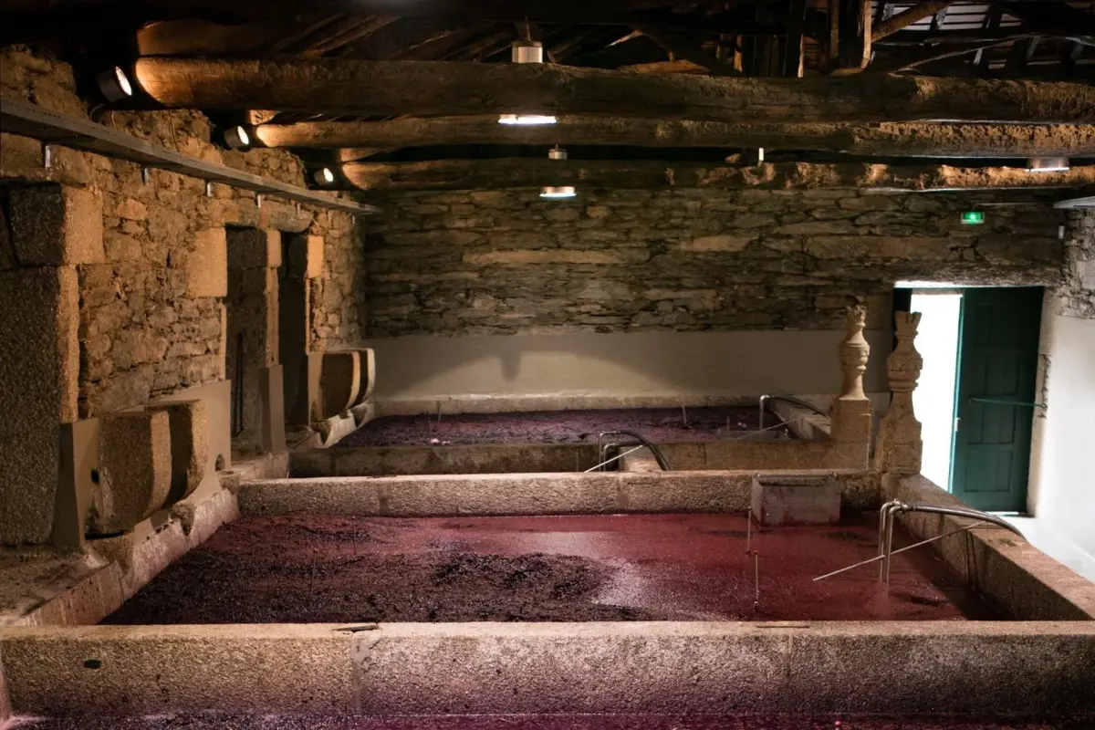 Discover Quintada da Gricha: The Ideal Refuge for Everyone - Imagem 18