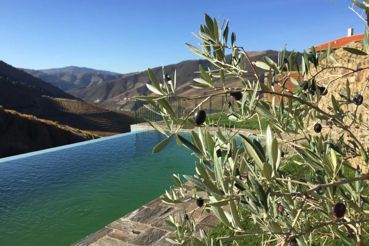 Discover Quintada da Gricha: The Ideal Refuge for Everyone - Imagem 26