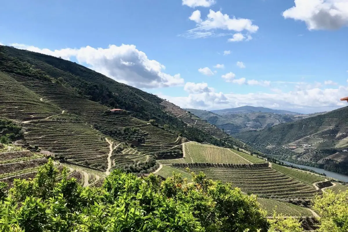 Discover Quintada da Gricha: The Ideal Refuge for Everyone - Imagem 32