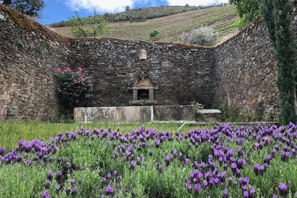 Discover Quintada da Gricha: The Ideal Refuge for Everyone - Imagem 36