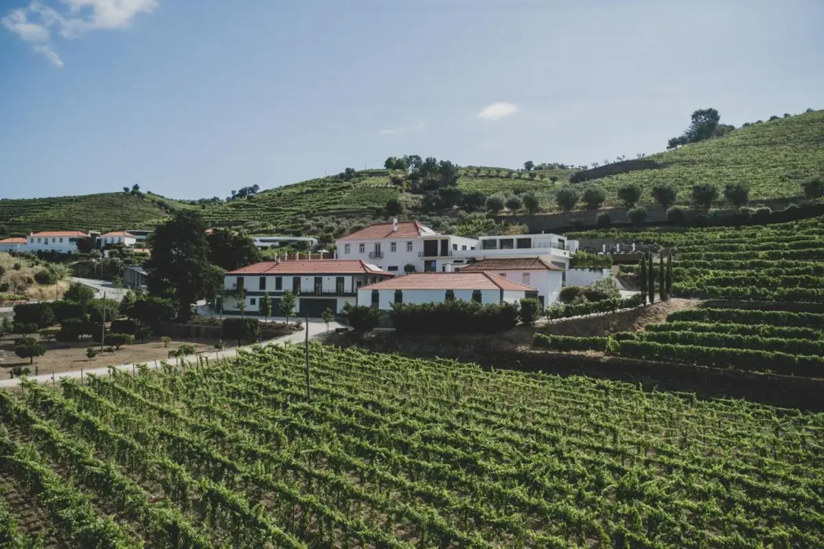 Discover Quintada da Gricha: The Ideal Refuge for Everyone - Imagem 58