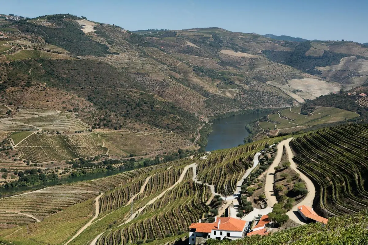 Discover Quintada da Gricha: The Ideal Refuge for Everyone - Imagem 80