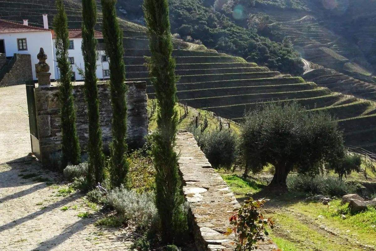 Discover Quintada da Gricha: The Ideal Refuge for Everyone - Imagem 82