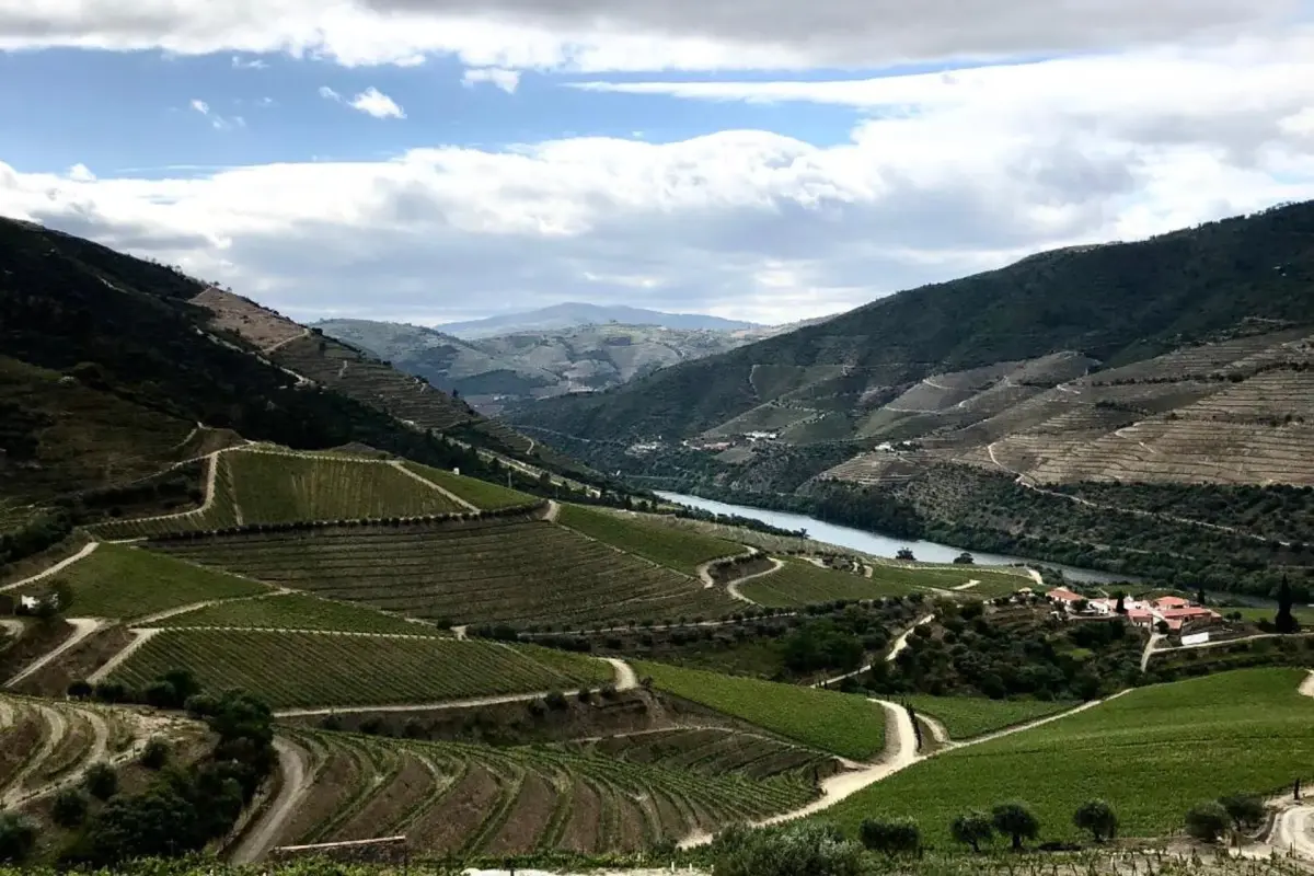 Discover Quintada da Gricha: The Ideal Refuge for Everyone - Imagem 85