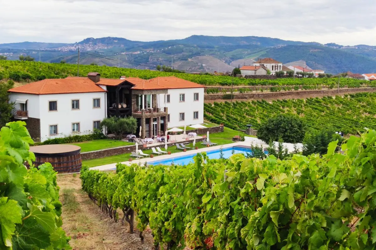 Discover Quintada da Gricha: The Ideal Refuge for Everyone - Imagem 98