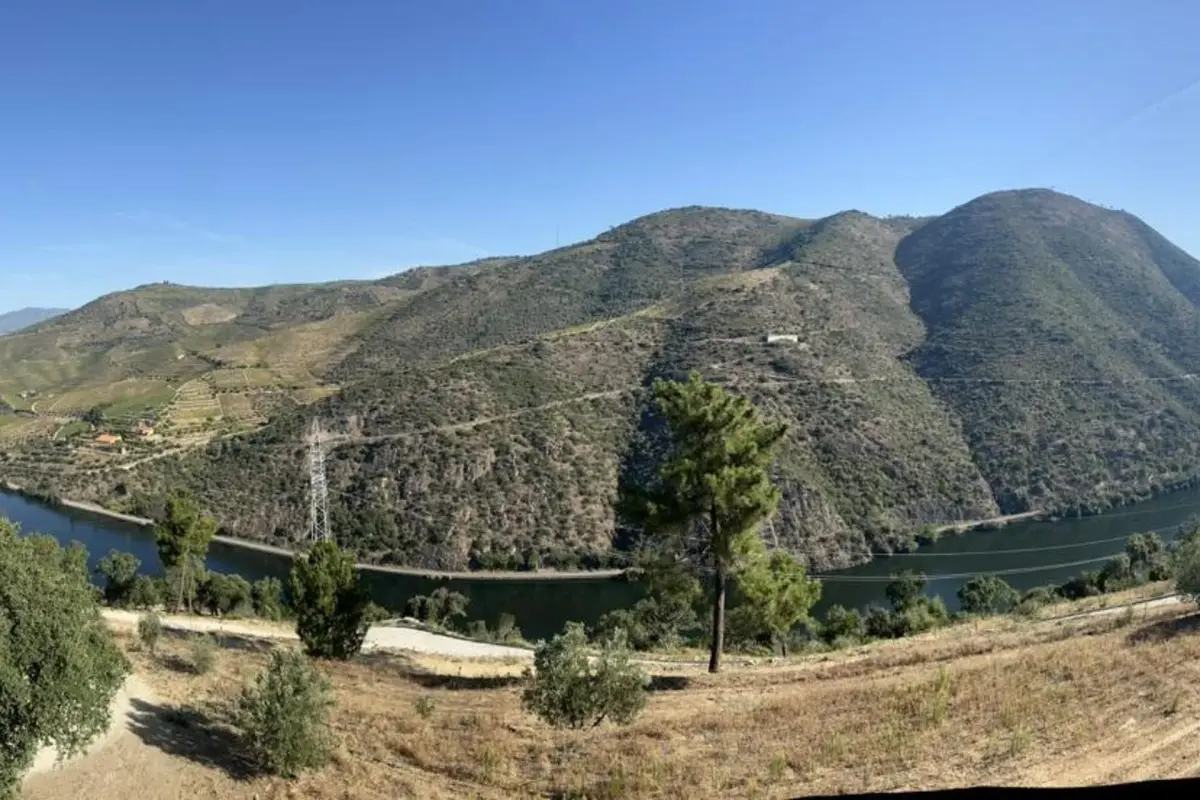 Quinta da Pinguinha - Imagem 25