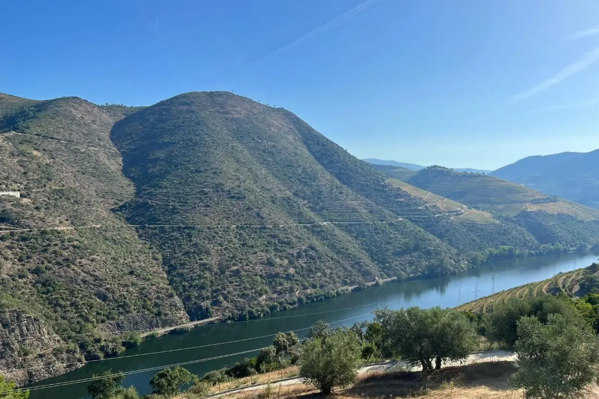 Quinta da Pinguinha - Imagem 26