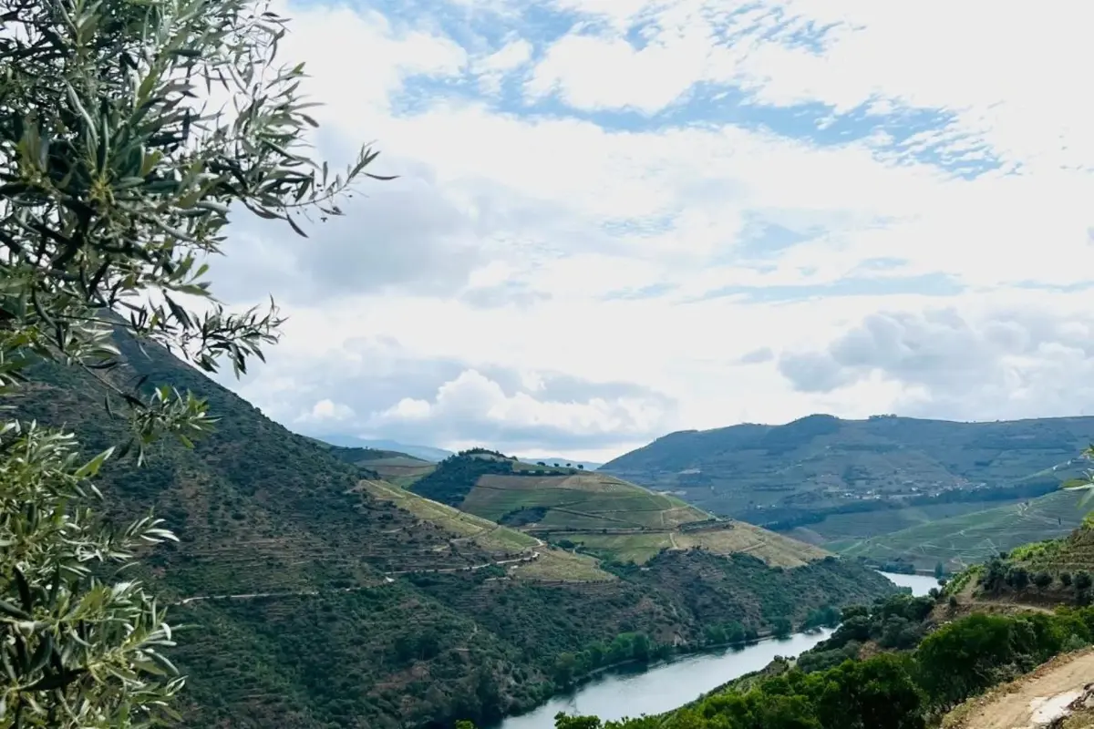 Quinta da Pinguinha - Imagem 41