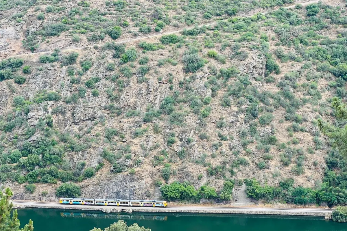 Quinta da Pinguinha - Imagem 42